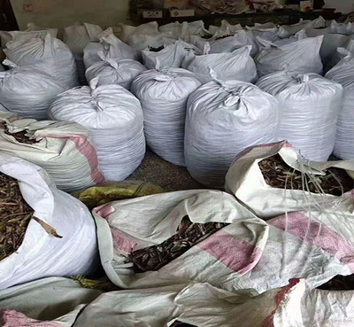 松圖在線商家(圖)-蚯蚓收購(gòu)公司-臨沂蚯蚓收購(gòu)