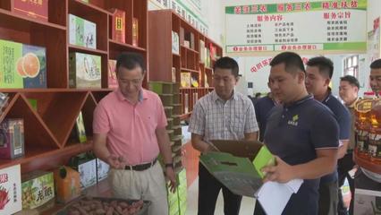 省商務廳來我縣調研供銷合作社及電商發展情況